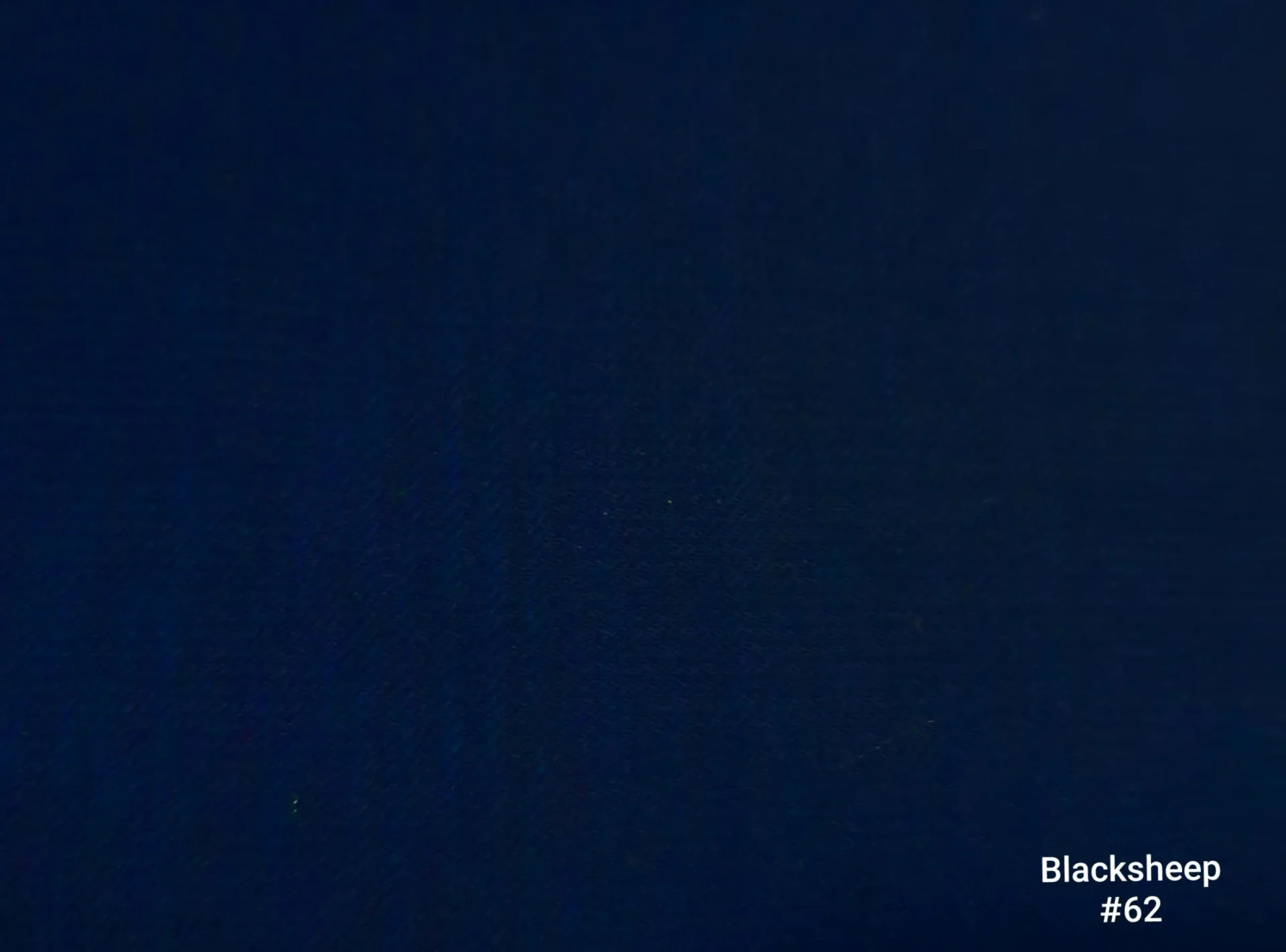 Blacksheep 62