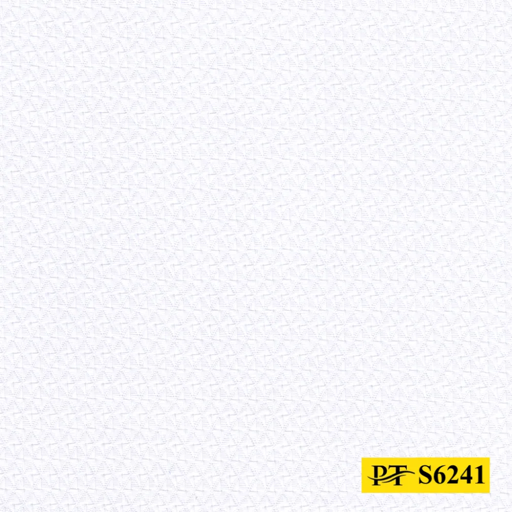 S6241 