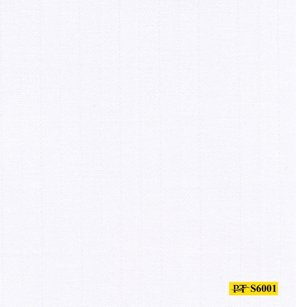 S6001
