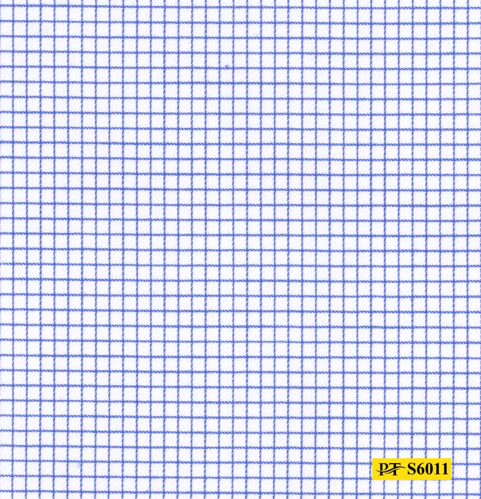 S6011