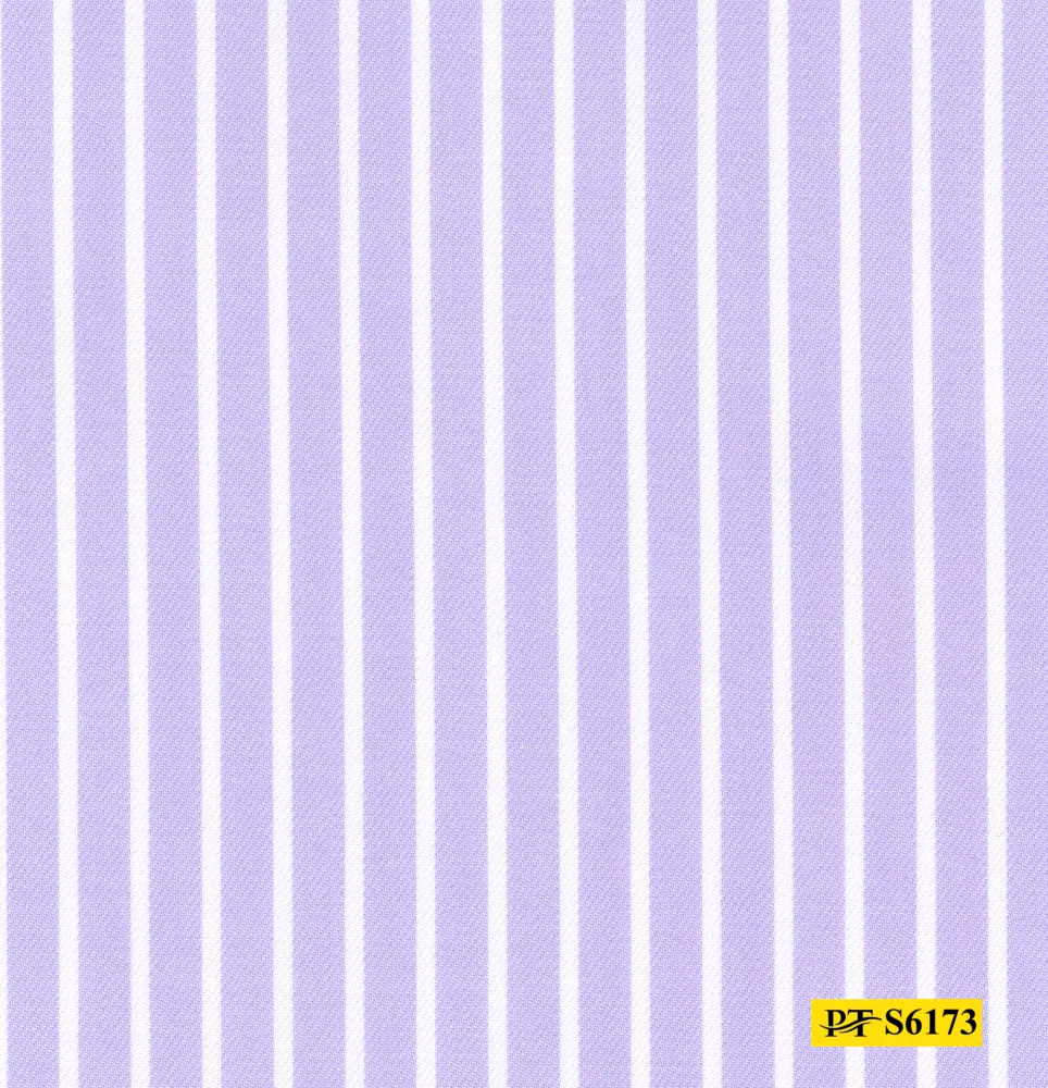 S6173